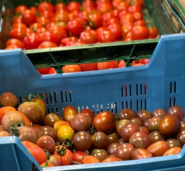 Tomates cerises au kg 