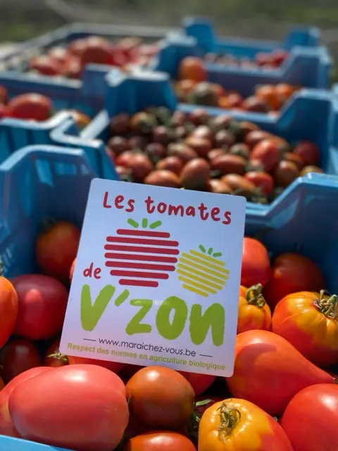 A TOMATES anciennes mix promo : 5 kg = 20 eur